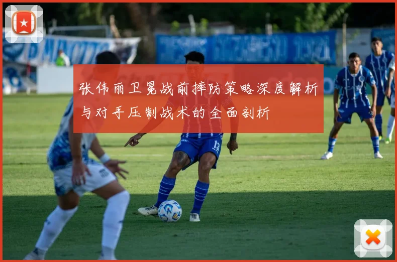 张伟丽卫冕战前摔防策略深度解析与对手压制战术的全面剖析